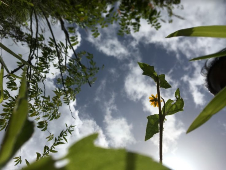 Naturaleza