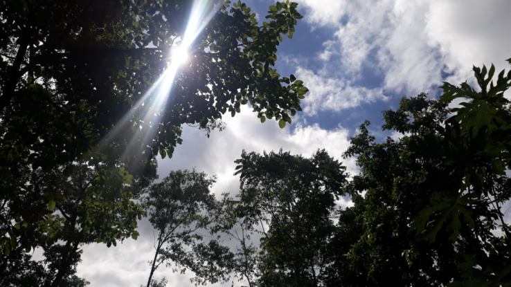 El Creador del Cielo