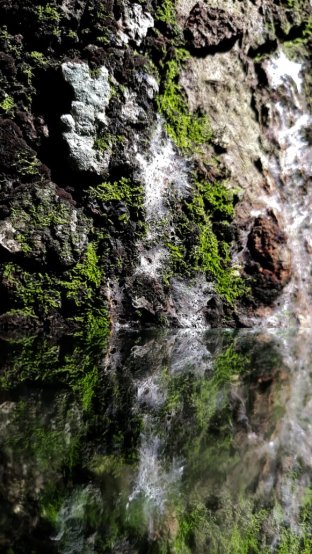 El reflejo