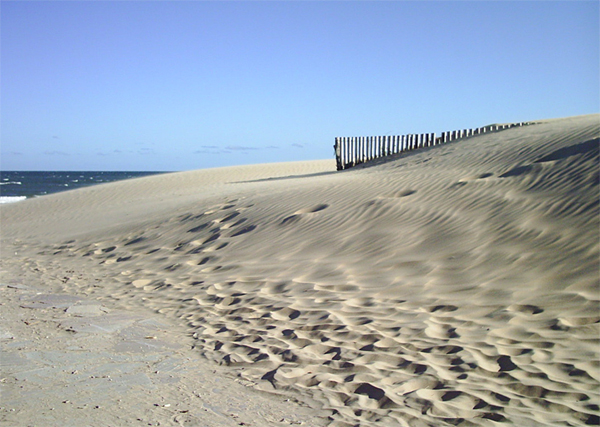 Sand & Sea