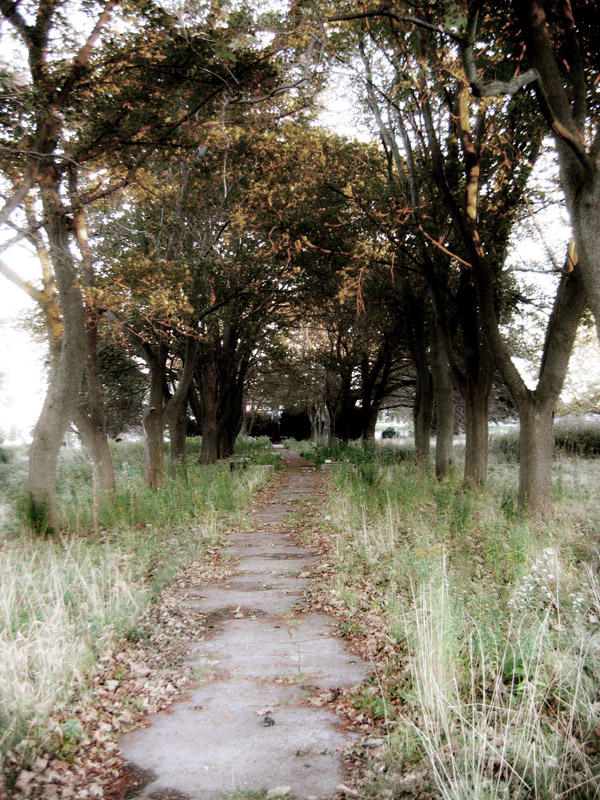 Road