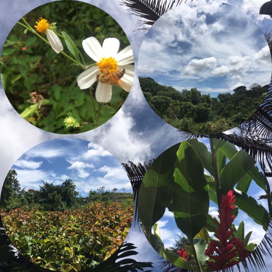 Nature deserves nuture