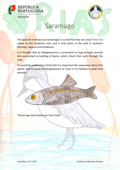 Saramugo