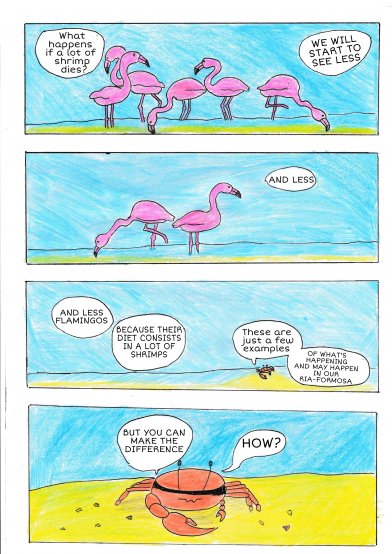 Hank the Crab talks about Ria Formosa's Pollution