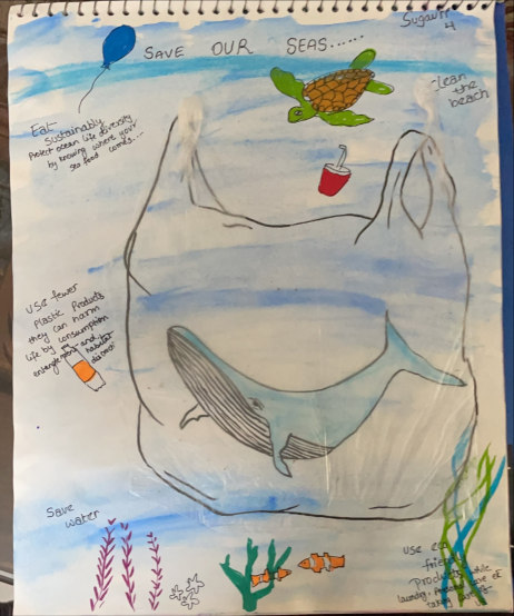 Save our seas