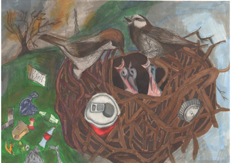 Sad birds still sing.