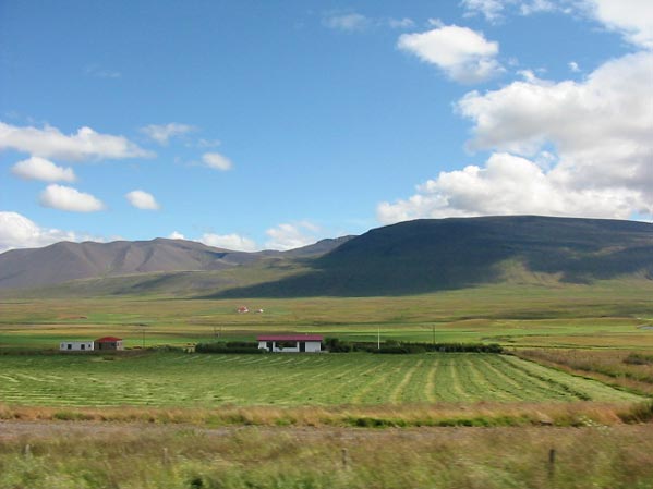 Landscape