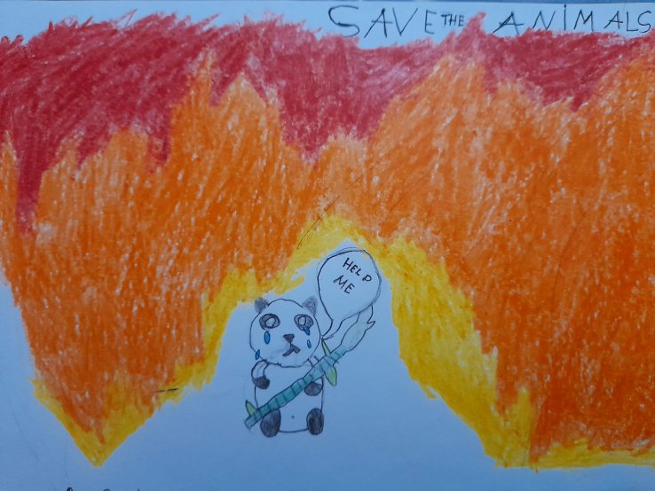 Save the Animals