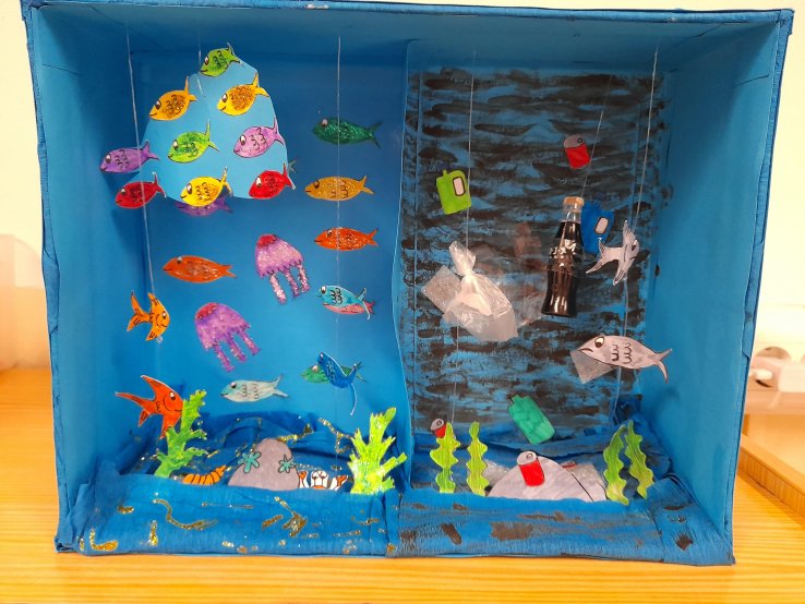 Sea Life