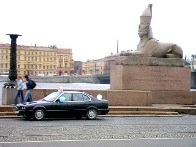 Sphynx Spb