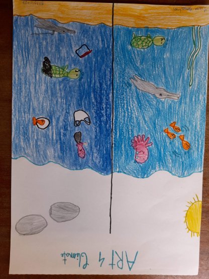 Ocean Pollution