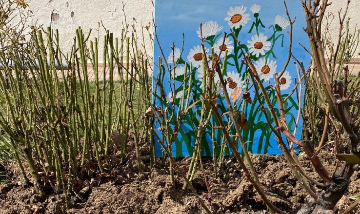 If art can save the world, I want to paint the daisies, not the drought!
