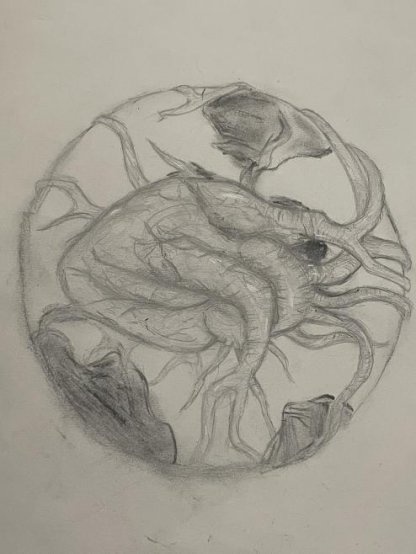 To Have a Heart