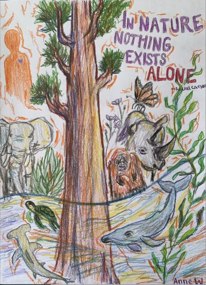 In Nature Nothing Exists Alone