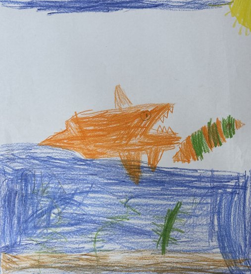 Protect our Oceans