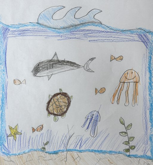 Why I Protect the Oceans