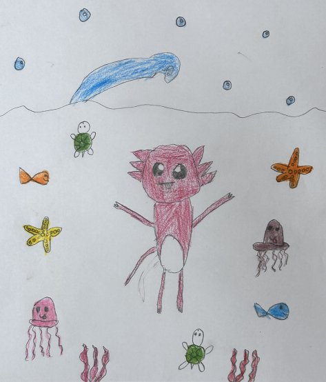 My Favourite Ocean Animal