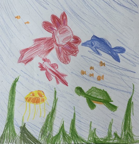 Ocean Biodiversity