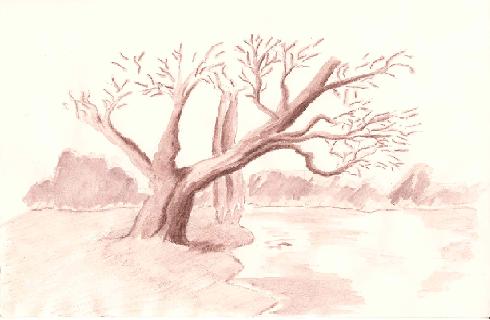 Brown Tree