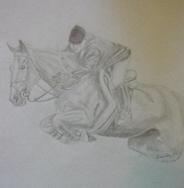 Horse jump