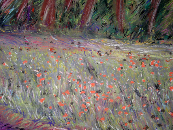 Poppies