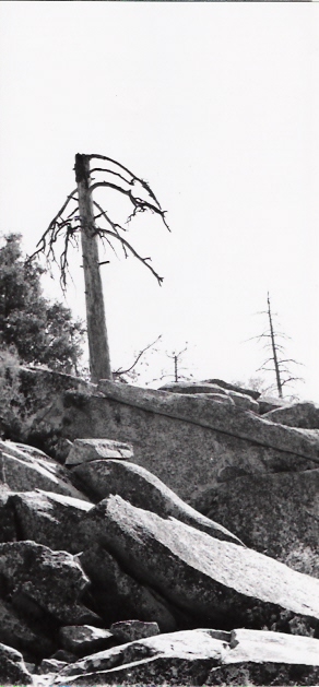 Idyllwild