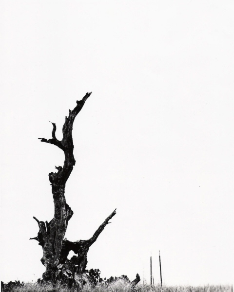 Empty Eternity