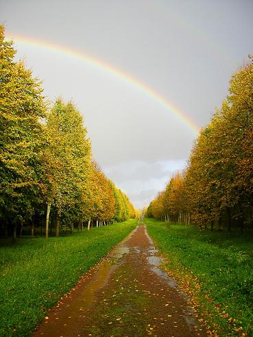 Paradise