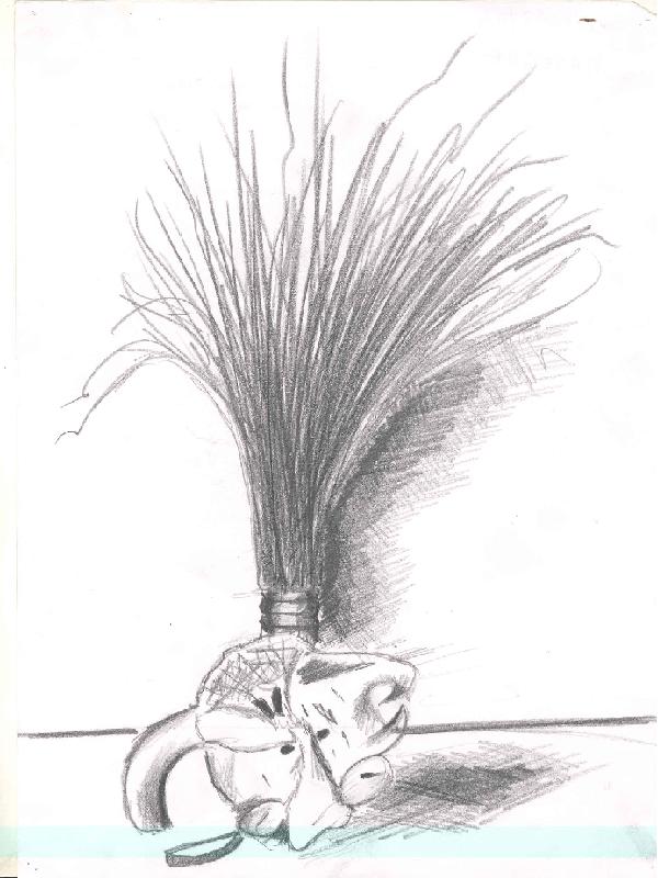 Still Life Drawing