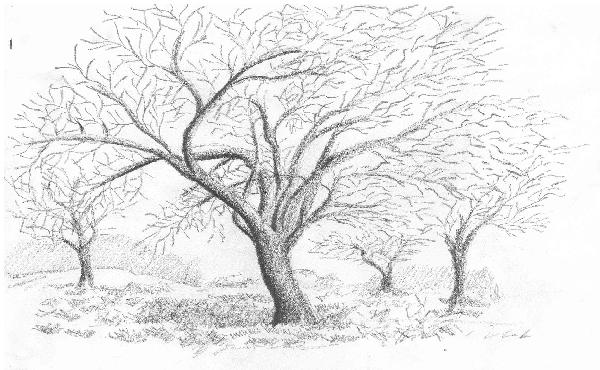 Monochrome Tree 2