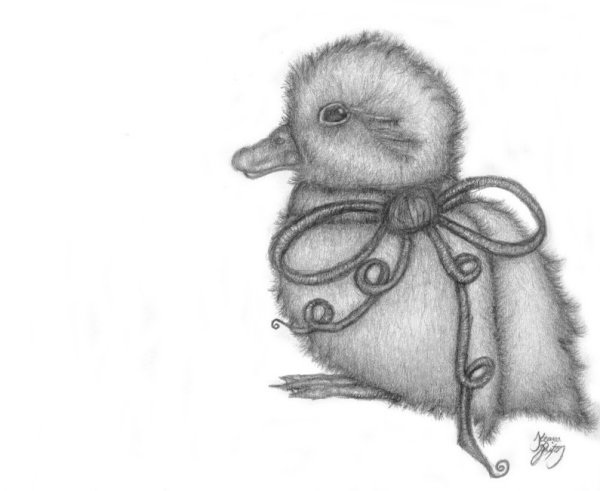 Duckling