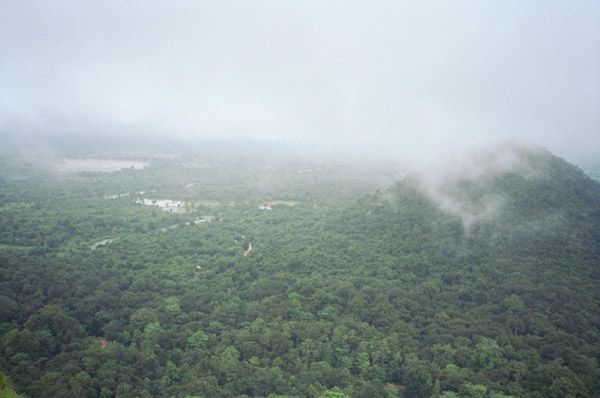 Sri Lankan Jungle