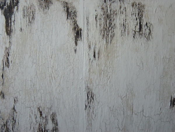 Crackle