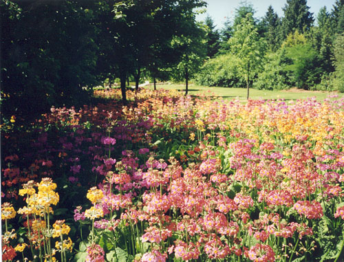 Stanley Park