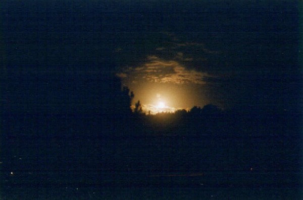 Full Moon over the Forest - Luna Llena sobre el Bosque