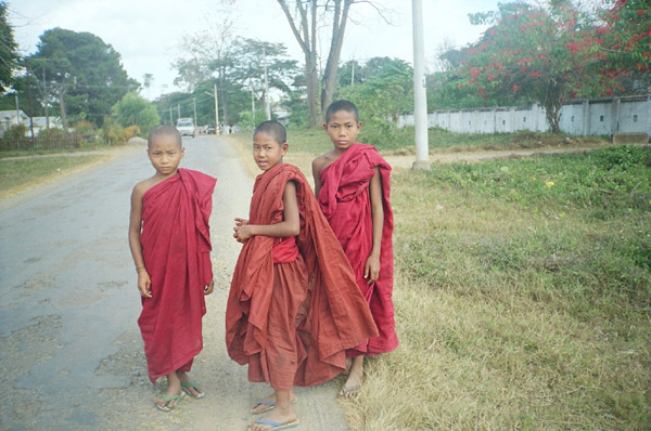 Young Burmese Monks