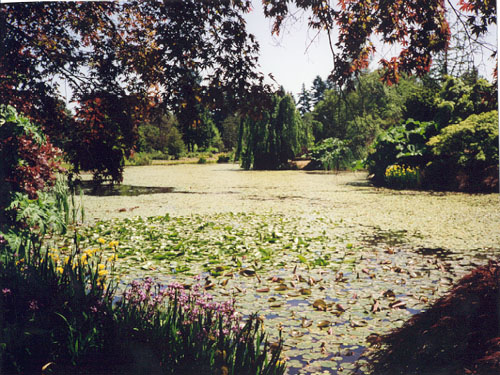Botanical Gardens
