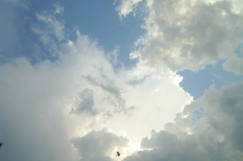 Freedom