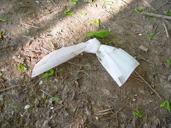 ~Improvisated Pigeon of Peace...