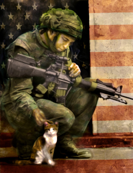 A Soldier's Story