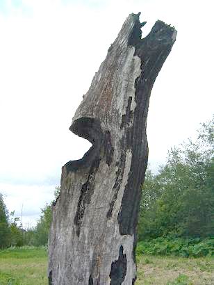 ЛУКОМОРЬЕ
