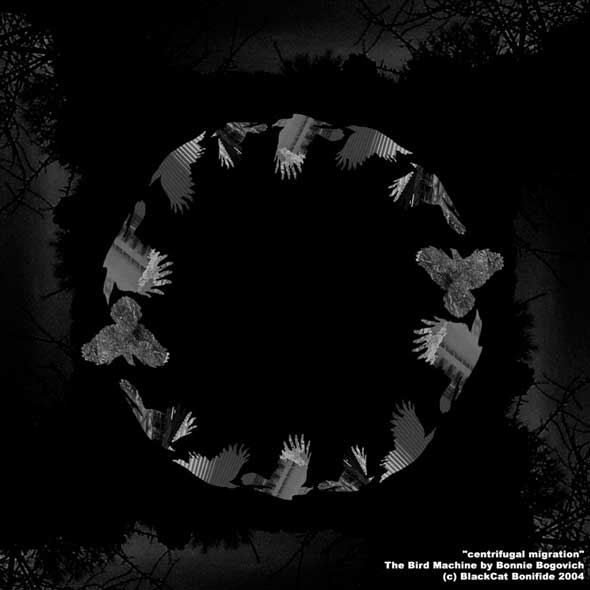 Centrifugal Migration