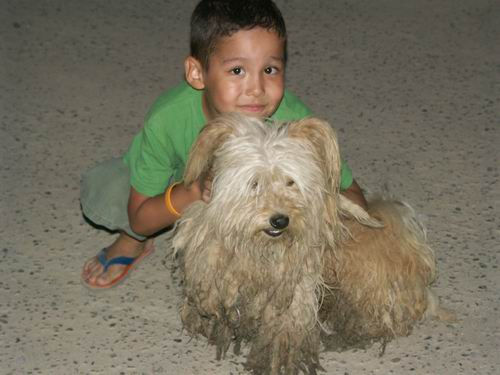 Boy and his dog