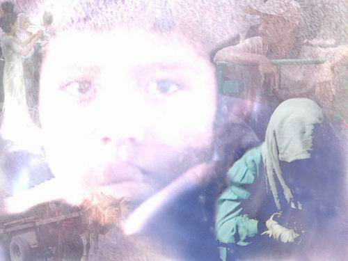 Eyes of poverty