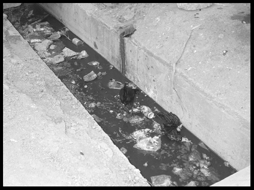 Drainage
