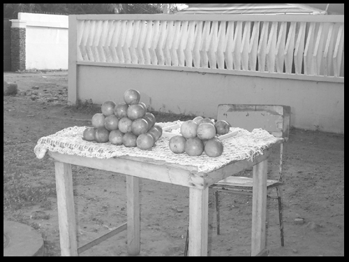 Selling Fruit