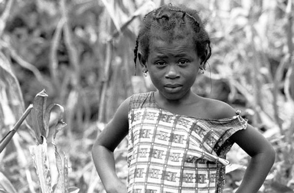 Picking Corn in Atwia