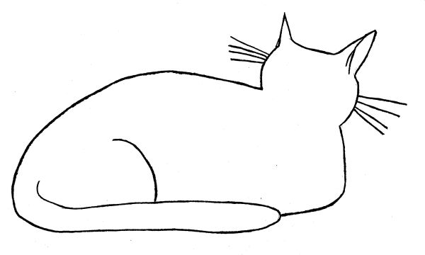 My Cat 1