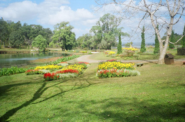 Flower Beds in Maymyo