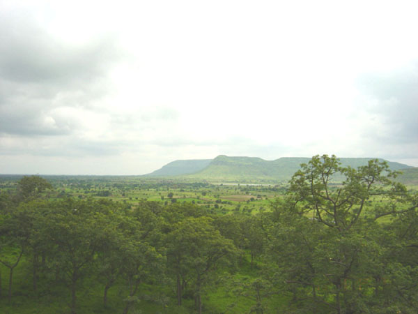 How Green is My Country!